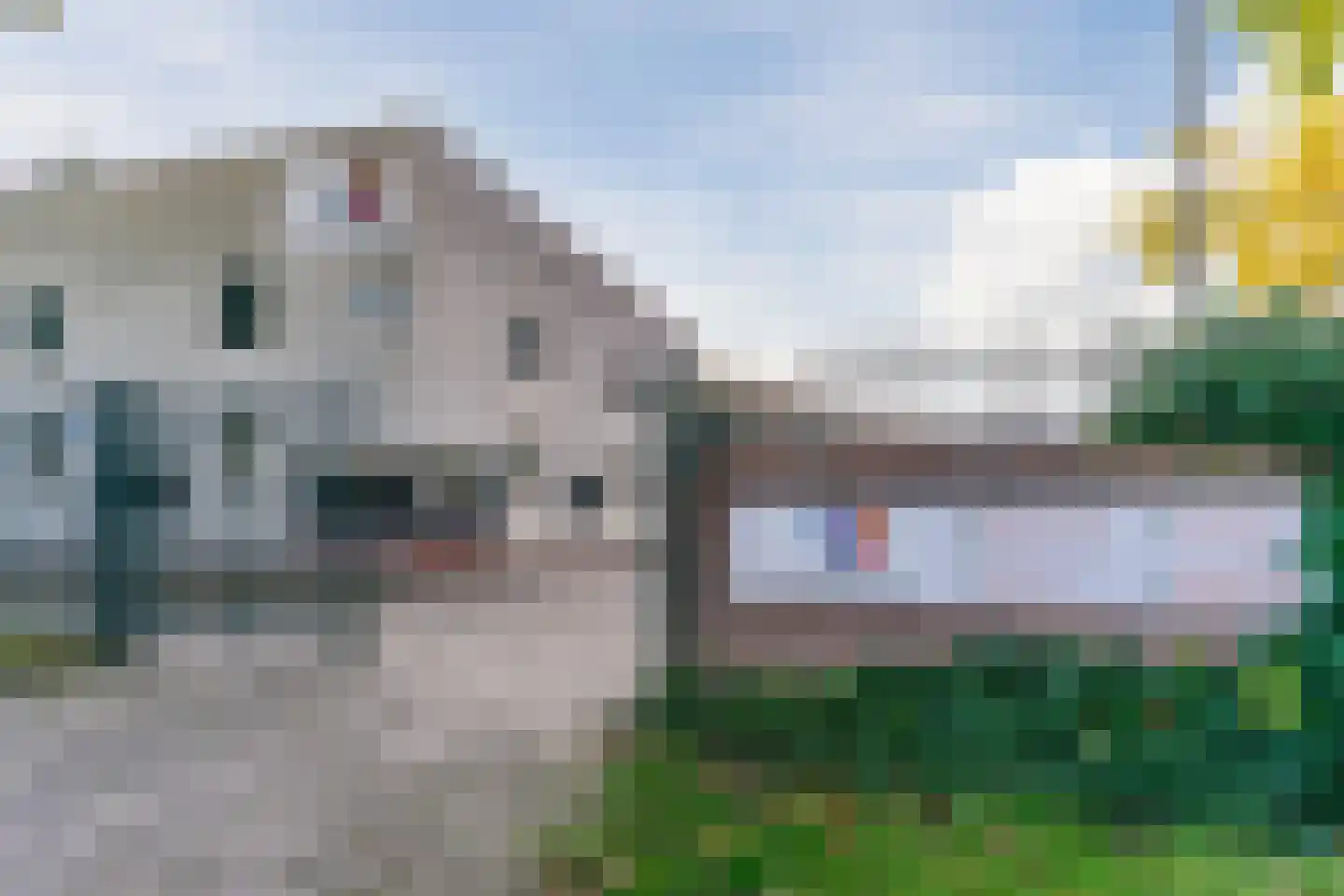 Valandil 32 Geldrop thumbnail 60