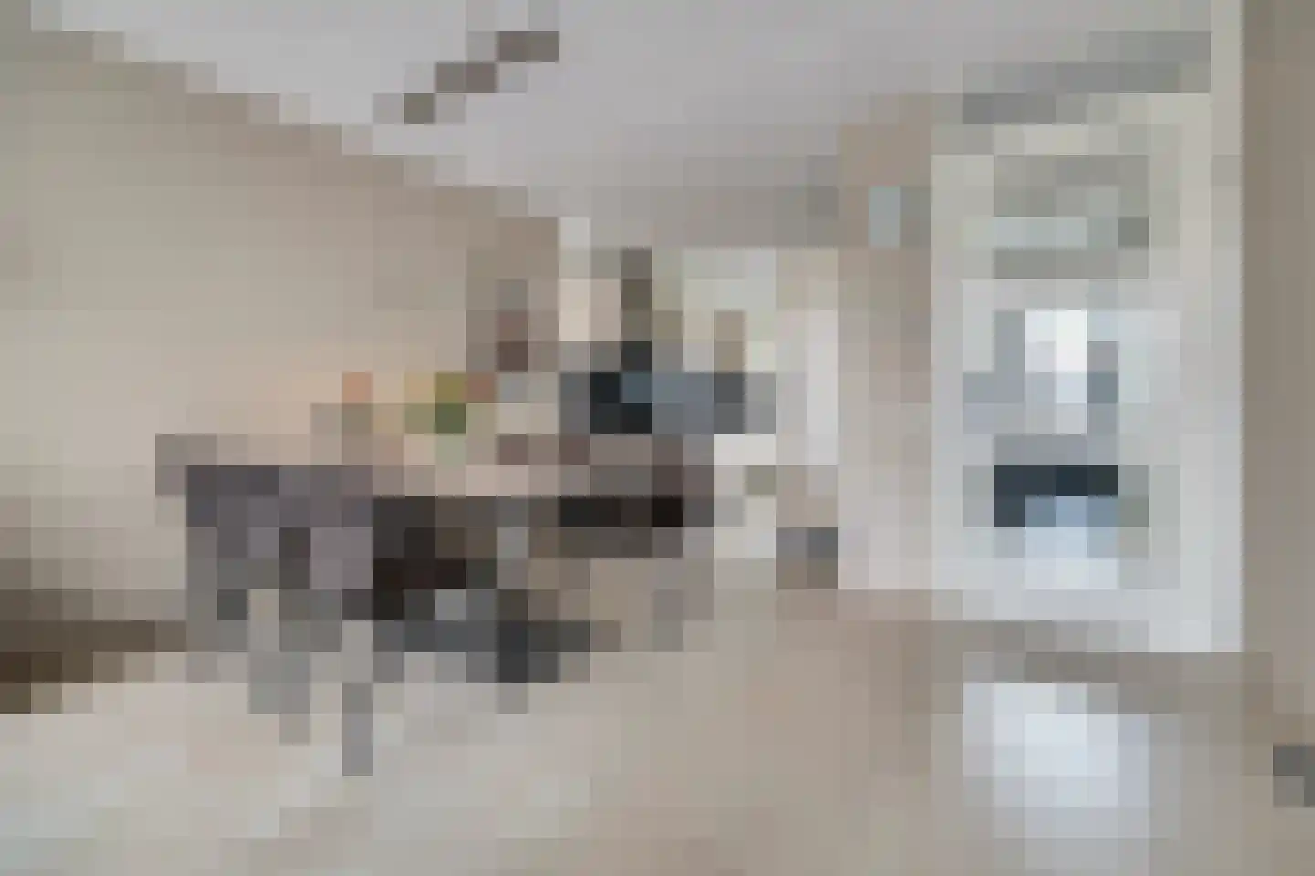 Valbrug 12 Drunen thumbnail 9
