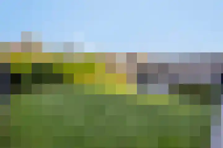 Valbrug 16 Oss thumbnail 35
