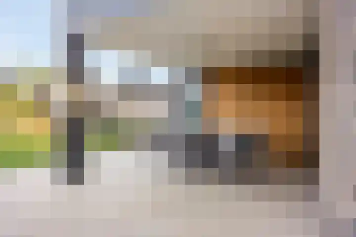 Valbrug 16 Oss thumbnail 43