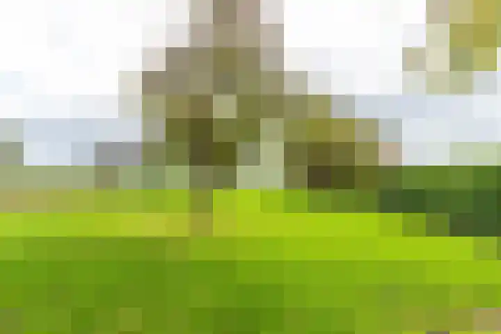 Valburgsestraat 4 Slijk-Ewijk thumbnail 10
