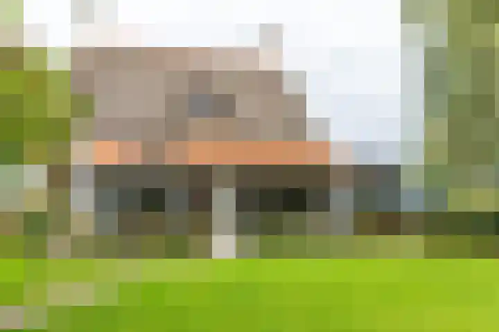 Valburgsestraat 4 Slijk-Ewijk thumbnail 5