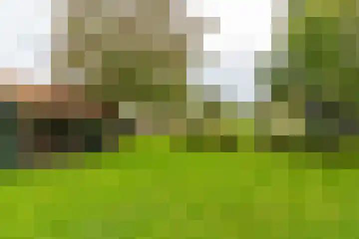 Valburgsestraat 4 Slijk-Ewijk thumbnail 50