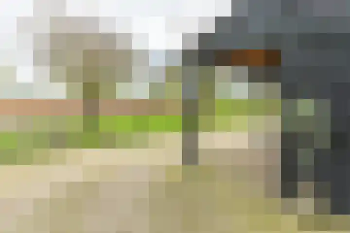 Valburgsestraat 4 Slijk-Ewijk thumbnail 55