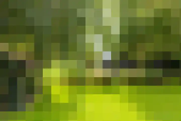 Valburgsestraat 4 Slijk-Ewijk thumbnail 6