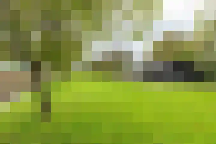 Valburgsestraat 4 Slijk-Ewijk thumbnail 7
