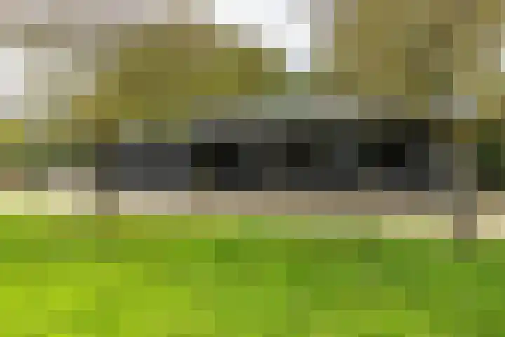 Valburgsestraat 4 Slijk-Ewijk thumbnail 9