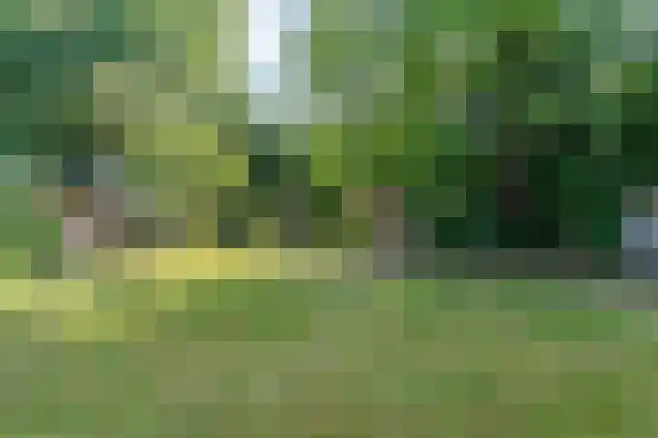 Valburgseweg 39 Elst thumbnail 4