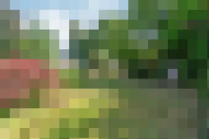 Valburgseweg 39 Elst thumbnail 49