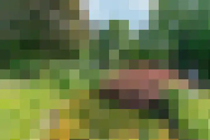 Valburgseweg 39 Elst thumbnail 51