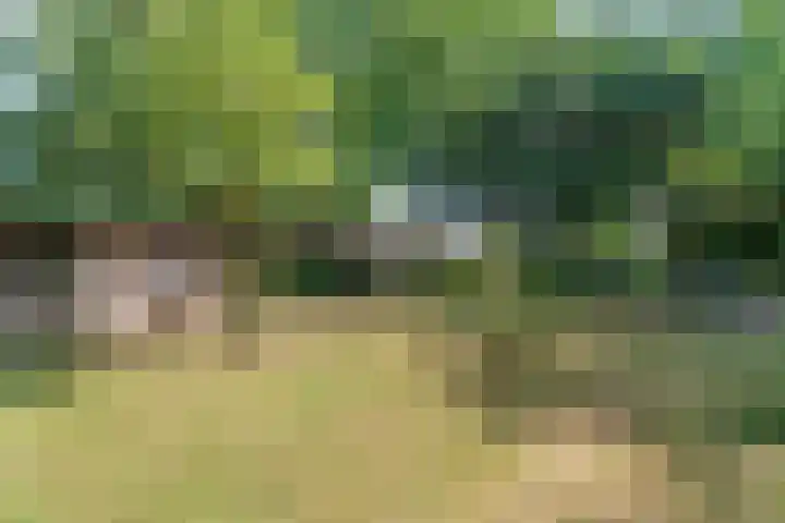 Valburgseweg 39 Elst thumbnail 52