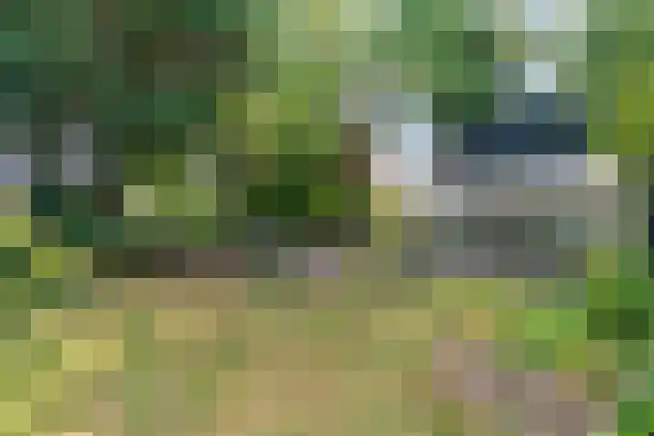 Valburgseweg 39 Elst thumbnail 53