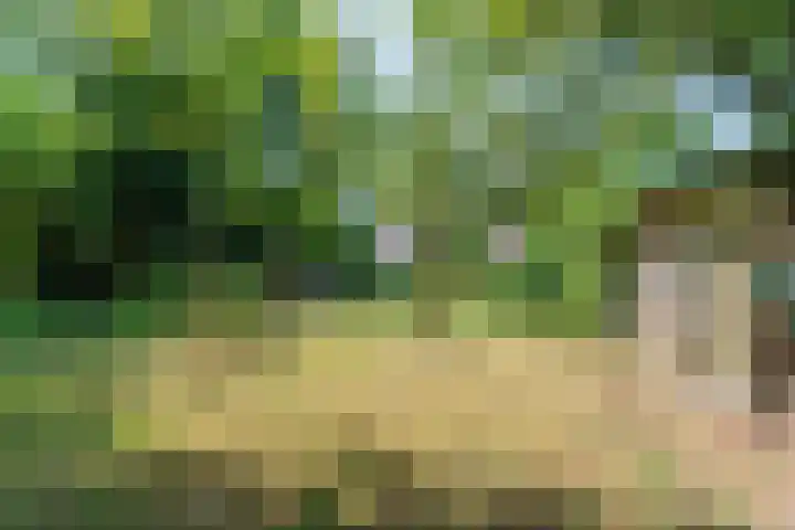 Valburgseweg 39 Elst thumbnail 55