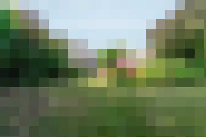 Valburgseweg 39 Elst thumbnail 56