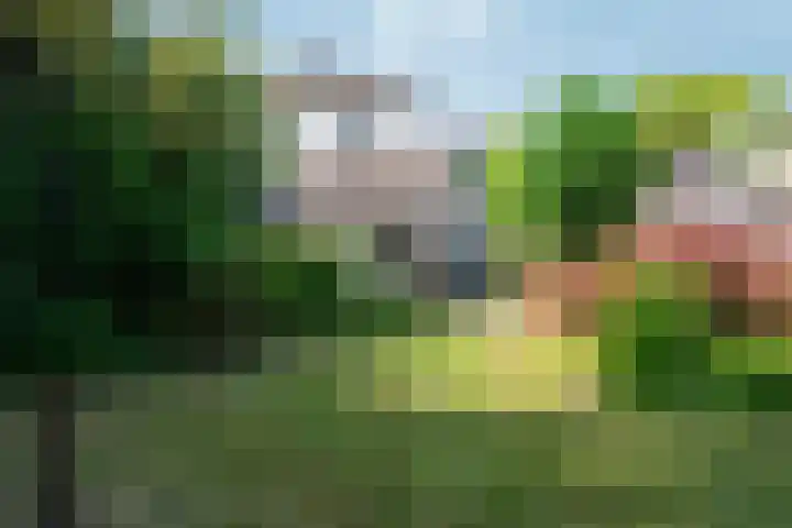 Valburgseweg 39 Elst thumbnail 57