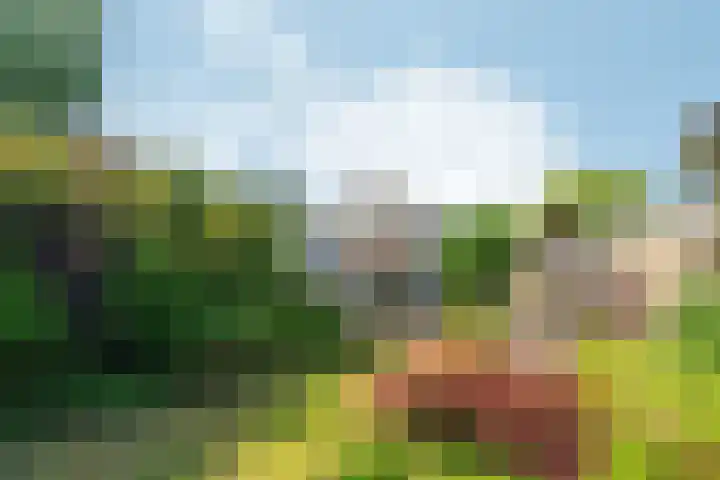 Valburgseweg 39 Elst thumbnail 58