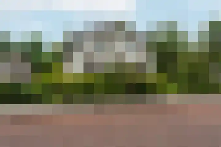 Valburgseweg 39 Elst thumbnail 62