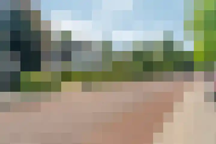 Valburgseweg 39 Elst thumbnail 63