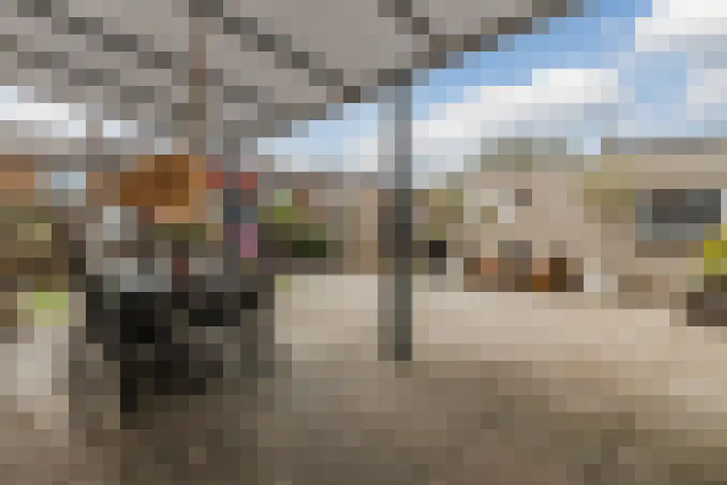 Valburgseweg 62 Elst thumbnail 38