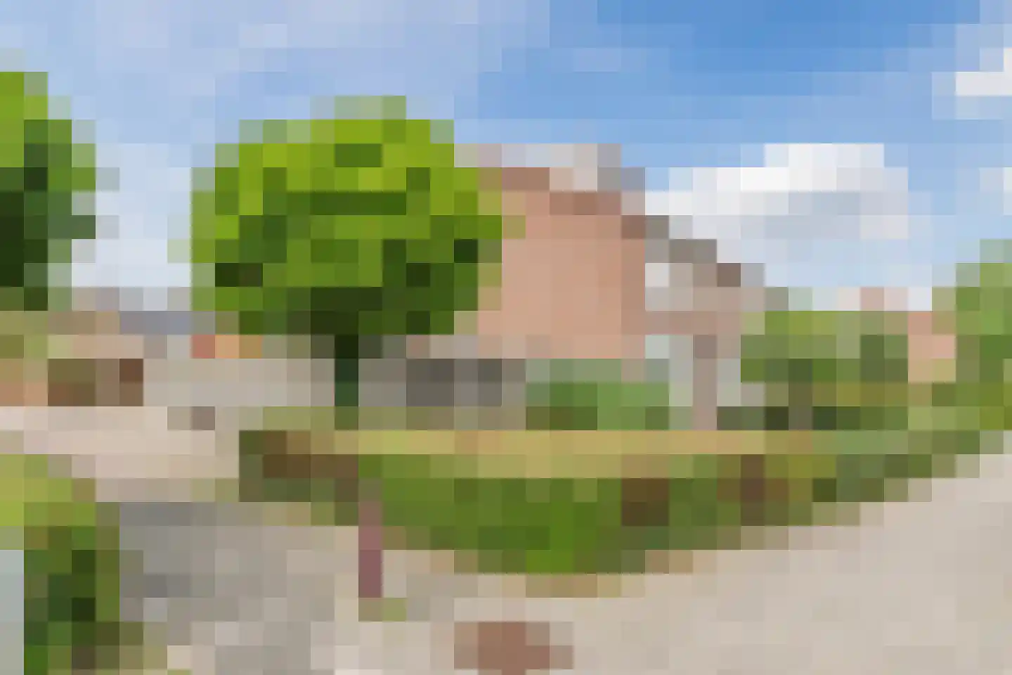 Valburgseweg 62 Elst thumbnail 48
