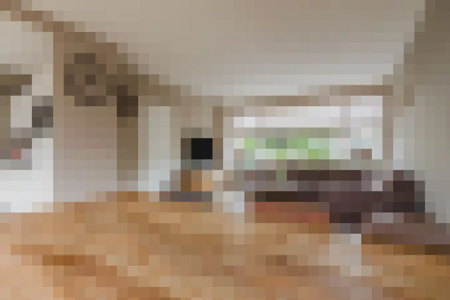 Valburgseweg 62 Elst thumbnail 6
