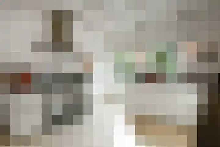 Valburgseweg 85 Elst thumbnail 17
