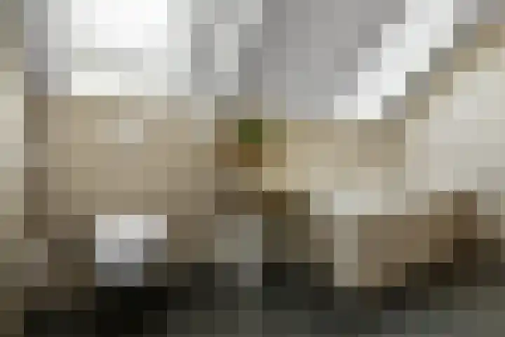 Valburgseweg 85 Elst thumbnail 39