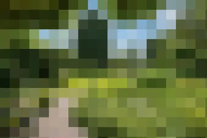 Valburgseweg 85 Elst thumbnail 4