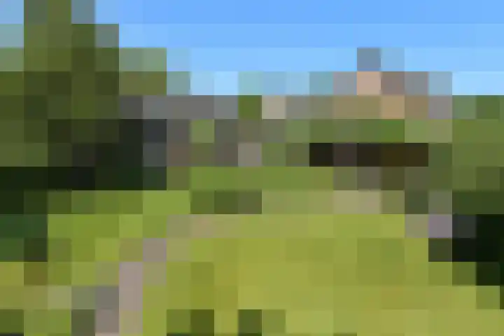 Valburgseweg 85 Elst thumbnail 5