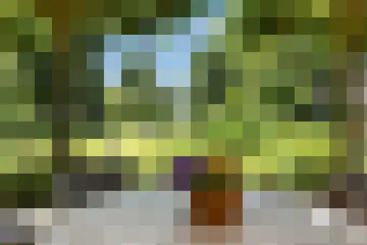 Valburgseweg 85 Elst thumbnail 56