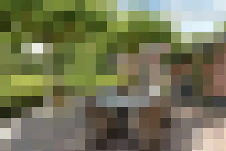 Valburgseweg 85 Elst thumbnail 57
