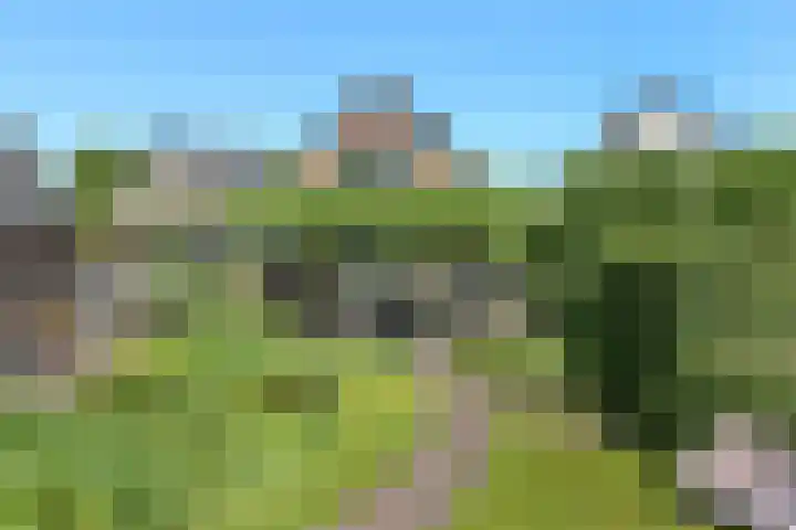 Valburgseweg 85 Elst thumbnail 59