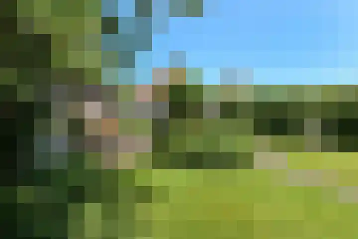 Valburgseweg 85 Elst thumbnail 60