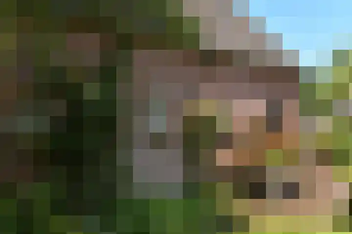Valburgseweg 85 Elst thumbnail 61
