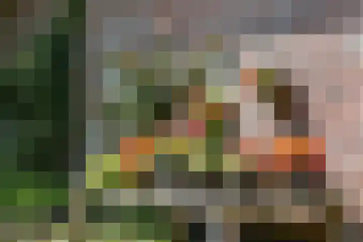 Valburgseweg 85 Elst thumbnail 62