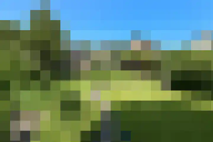 Valburgseweg 85 Elst thumbnail 63
