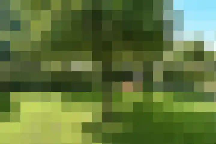 Valburgseweg 85 Elst thumbnail 64