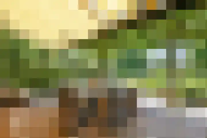 Valburgseweg 85 Elst thumbnail 65