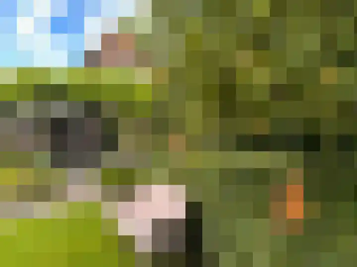 Valburgseweg 85 Elst thumbnail 66