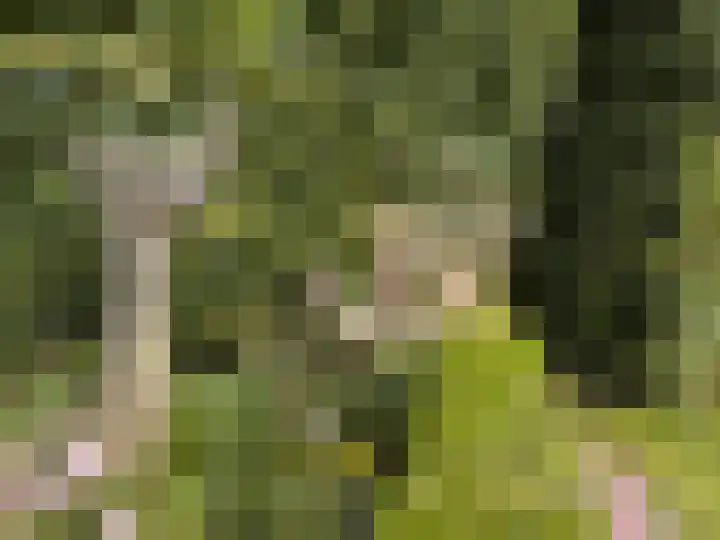 Valburgseweg 85 Elst thumbnail 67