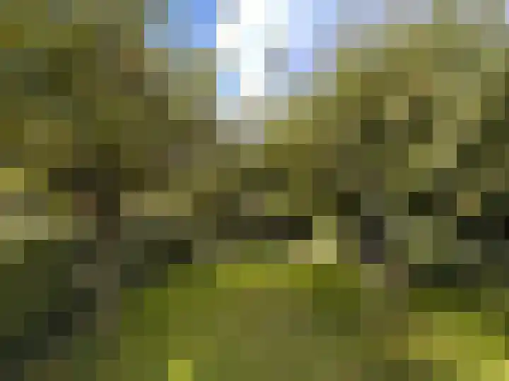 Valburgseweg 85 Elst thumbnail 68