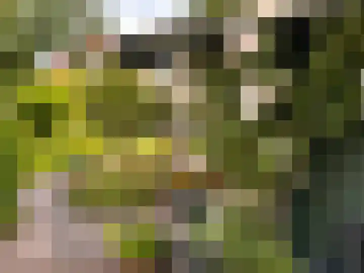 Valburgseweg 85 Elst thumbnail 69