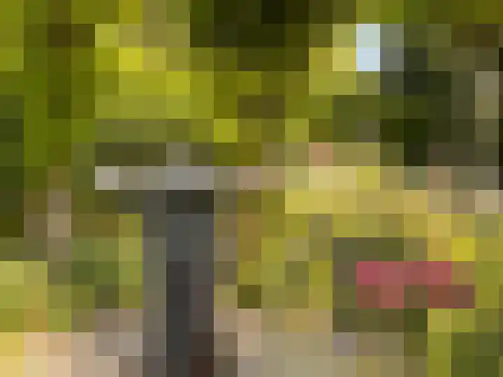 Valburgseweg 85 Elst thumbnail 71