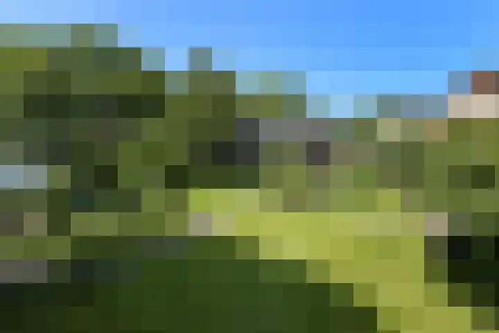 Valburgseweg 85 Elst thumbnail 72
