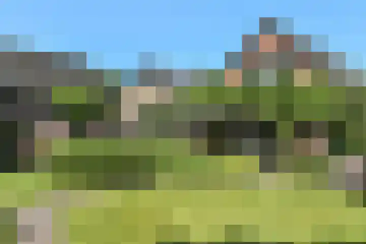 Valburgseweg 85 Elst thumbnail 73