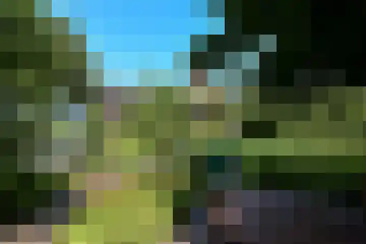 Valburgseweg 85 Elst thumbnail 74