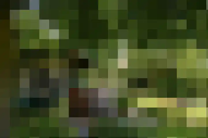 Valburgseweg 85 Elst thumbnail 75