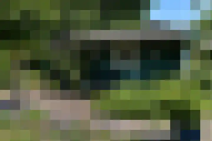 Valburgseweg 85 Elst thumbnail 76