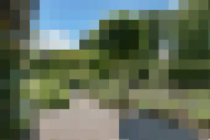 Valburgseweg 85 Elst thumbnail 77