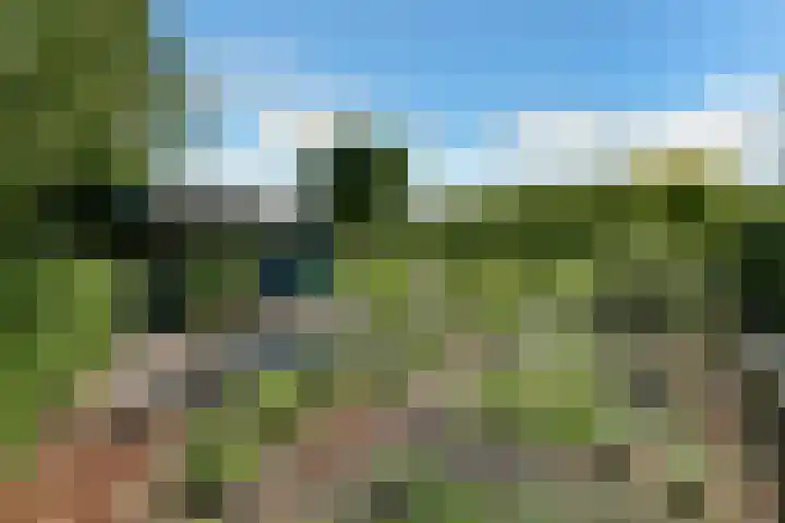 Valburgseweg 85 Elst thumbnail 78